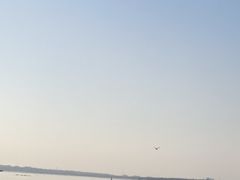 -秦皇岛秦皇国际大酒店