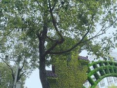 -坂田手造文化街