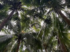 -白沙门生态公园