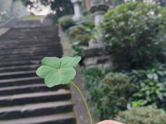 -忠山公园