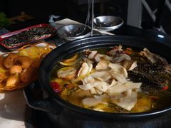 -蘑统田下·野生菌火锅