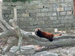-上海野生动物园