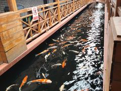 -侠成水上农庄(工业大道店)