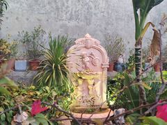 -more than meow吴止猫主题餐厅(承德 中船汇店)