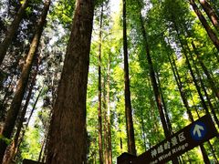 -山王坪喀斯特国家生态公园