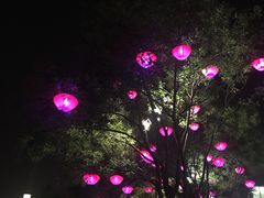 -大雁塔北广场音乐喷泉