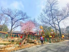 -白家大院·王府宫廷菜(苏州街店)