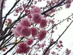 -观澜湖生态运动公社