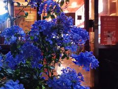 -饭町二郎日式综合茶餐(中安广场店)