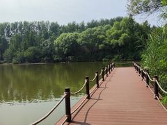 -翠湖国家城市湿地公园