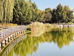 -大兴滨河森林公园