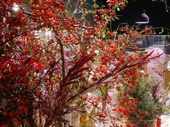 -BEAST野兽派(上海浦东嘉里城店)