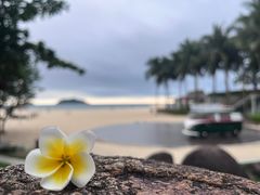 -石梅湾艾美度假酒店