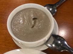 奶油蘑菇汤mushroomS-布拉格餐厅· 中欧捷克菜(全国首店)