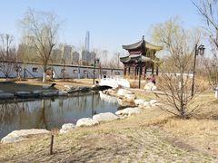 -水西公园