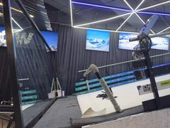-Hopo Snow 城市滑雪空间(来福士广场购物中心店)