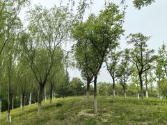 -瀛海足球主题公园