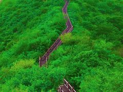 -大岭沟猕猴桃谷风景区