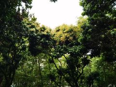 -荔景渔庄