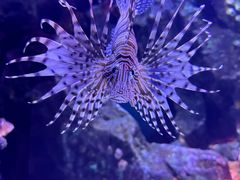 -正佳极地海洋世界