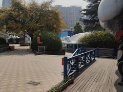 -海合安成都极地海洋公园