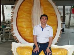 -都念榴莲·城市榴莲