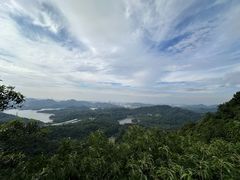 -深圳仙湖植物园
