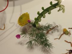 -湯記傳菜
