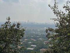 -上海佘山国家森林公园西佘山园