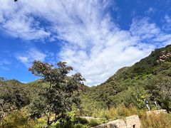 -大岭沟猕猴桃谷风景区