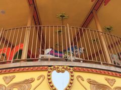 -石家庄市动物园