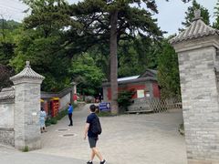 -阳台山自然风景区