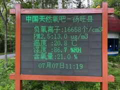 -汤旺河林海奇石景区