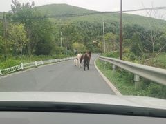 -莫干山风景区