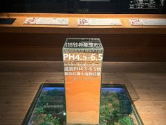 -香市公园-中国沉香文化博物馆