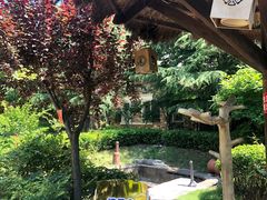 -青岛香根温泉酒店