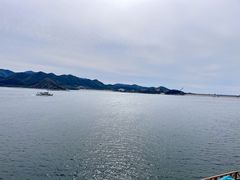 -望湖烤鱼