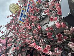 -普吉镇