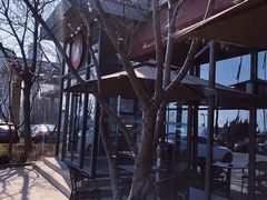 -了不起的考拉咖啡店(高新店)