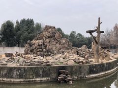 -合肥野生动物园
