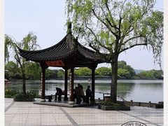 -西湖外事游船(花港观鱼码头)