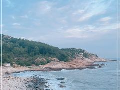 -广东惠东海龟国家级自然保护区