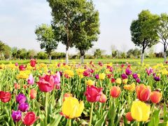 -汉长安城未央宫国家考古遗址公园