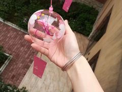 -重庆南山海昌汤都