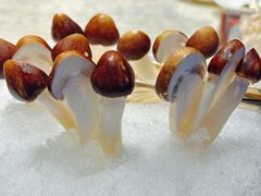 -明湖楼·经典鲁菜山东海鲜(大明湖店)