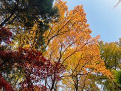 -虞山风景区