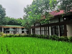 -洪湖家庭农场·团建·露营·会议