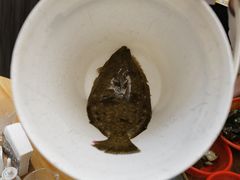 -海九澎湖海鲜餐厅