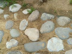 -武清南湖绿博园