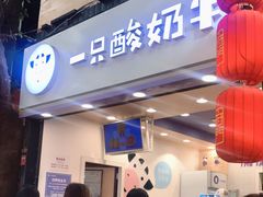 门面-一只酸奶牛(八一路店)